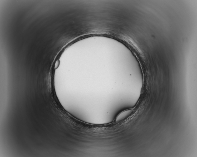 X0000096381268200802211114