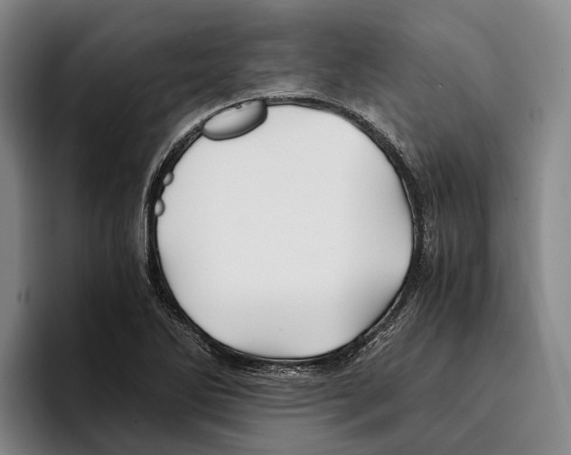 X0000096381270200802211114