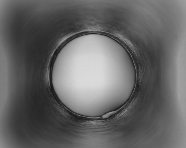 X0000096381272200802211114