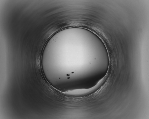 X0000096381273200802211114