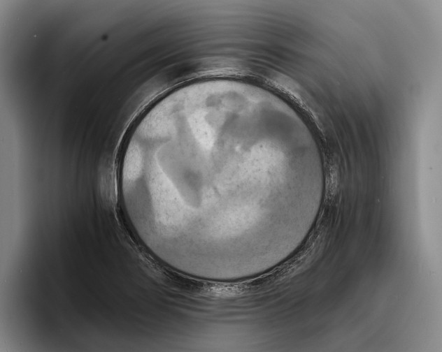 X0000096381274200802211114