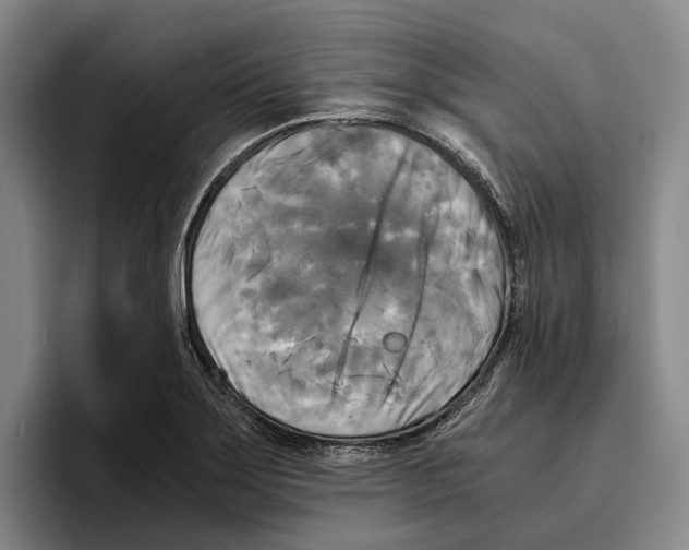 X0000096381275200802211114