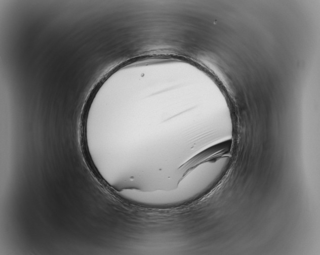 X0000096381277200802211114