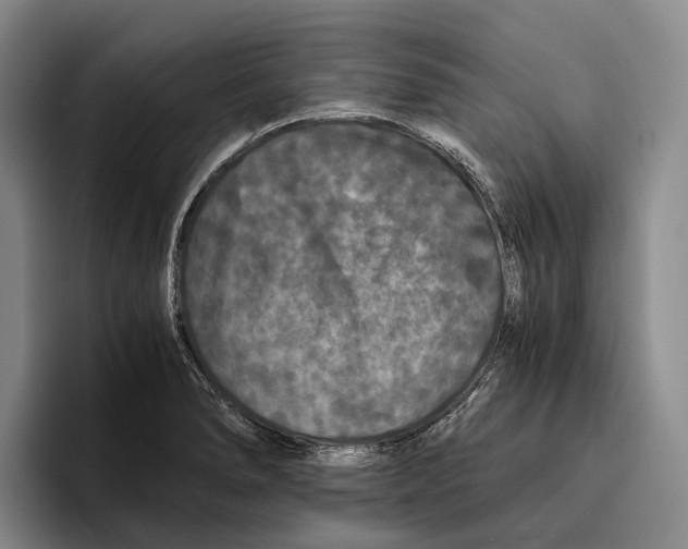 X0000096381278200802211114