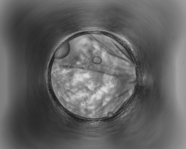 X0000096381279200802211114