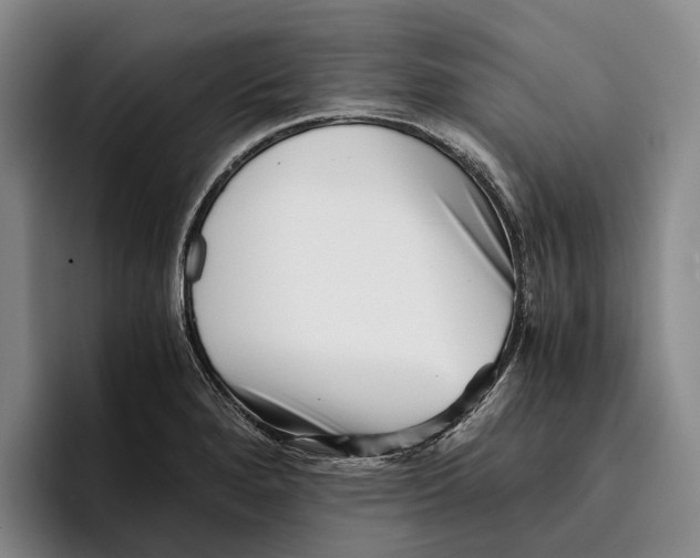 X0000096381280200802211114