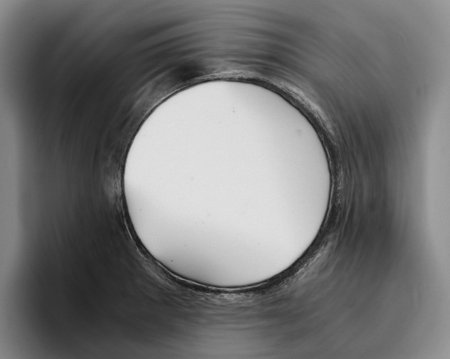 X0000096381281200802211114