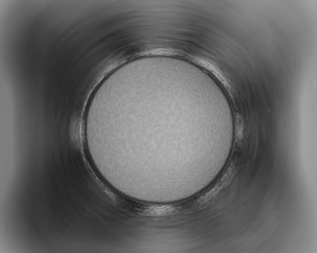 X0000096381282200802211114