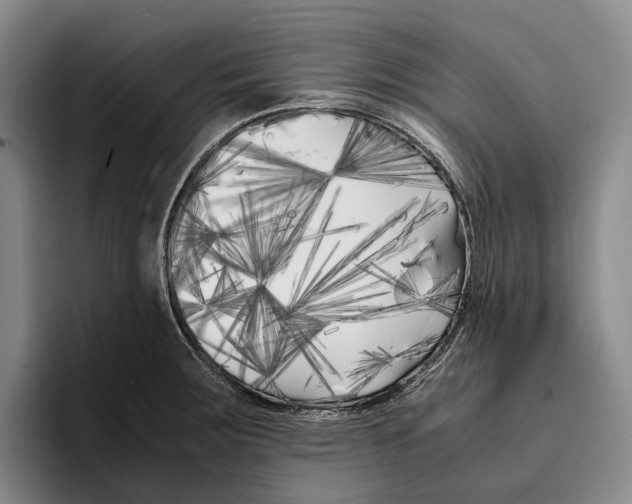 X0000096381283200802211114