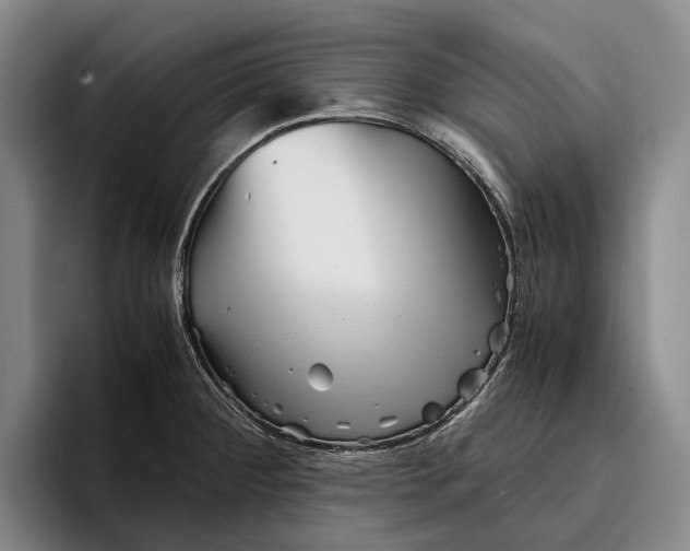 X0000096381284200802211114