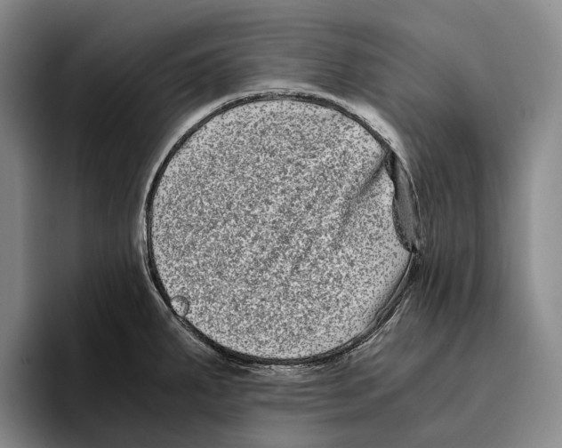 X0000096381287200802211114