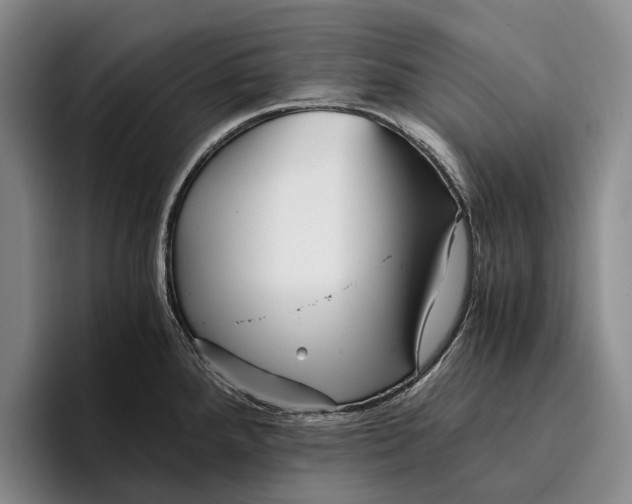 X0000096381288200802211114