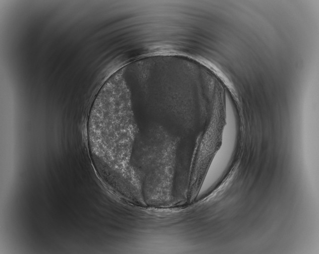 X0000096381289200802211114