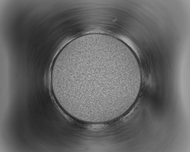 X0000096381290200802211114