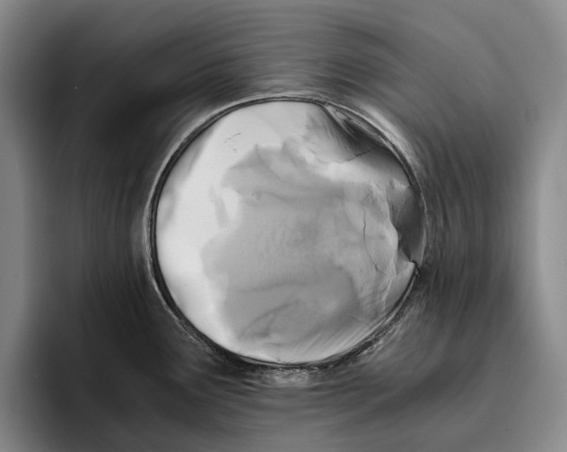 X0000096381291200802211114