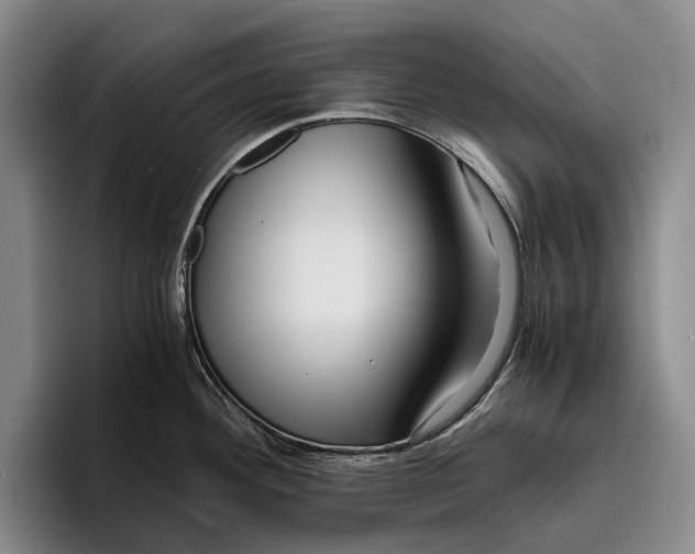 X0000096381292200802211114