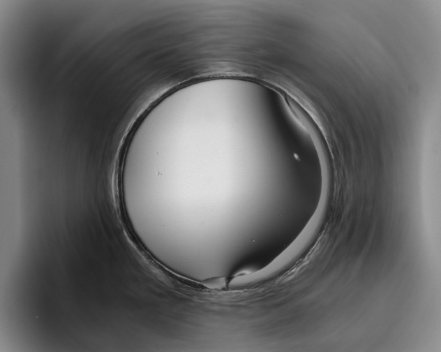 X0000096381293200802211114