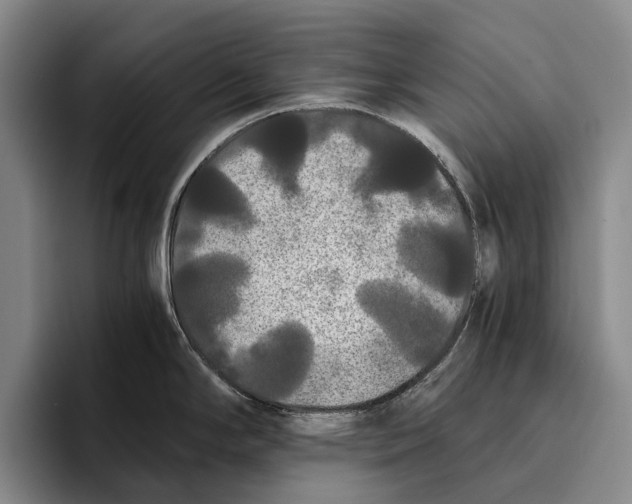 X0000096381294200802211114