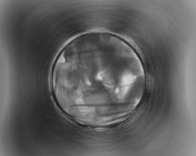 X0000096381295200802211114