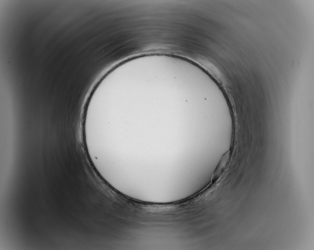 X0000096381296200802211114