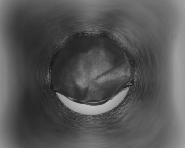 X0000096381298200802211113