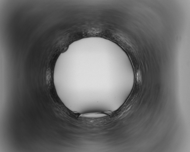 X0000096381299200802211113