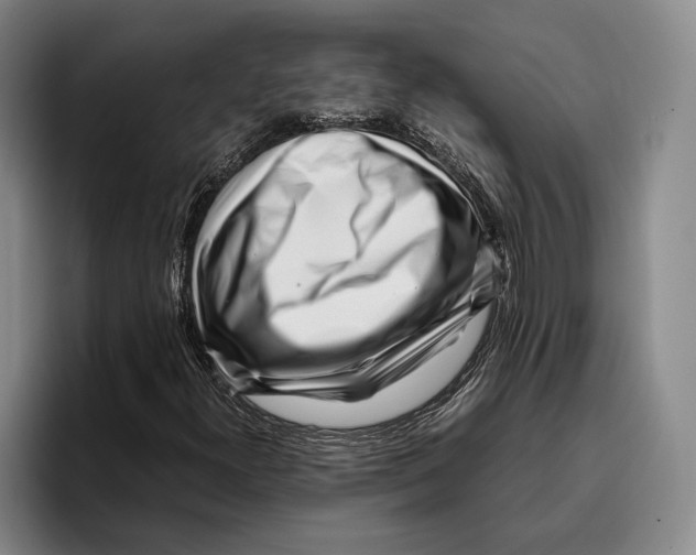 X0000096381300200802211113