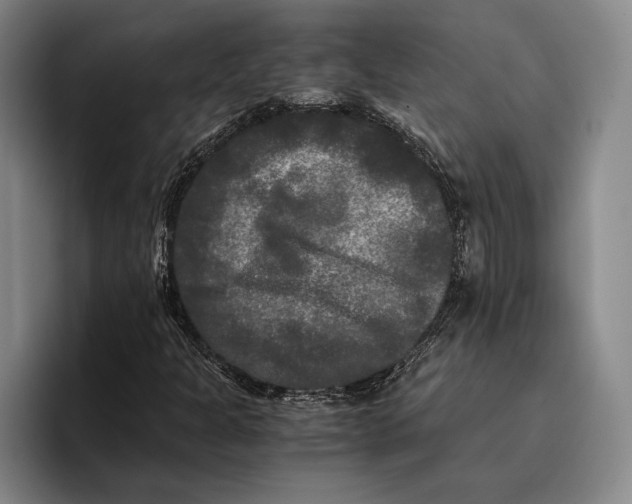 X0000096381301200802211113