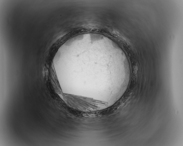 X0000096381302200802211113