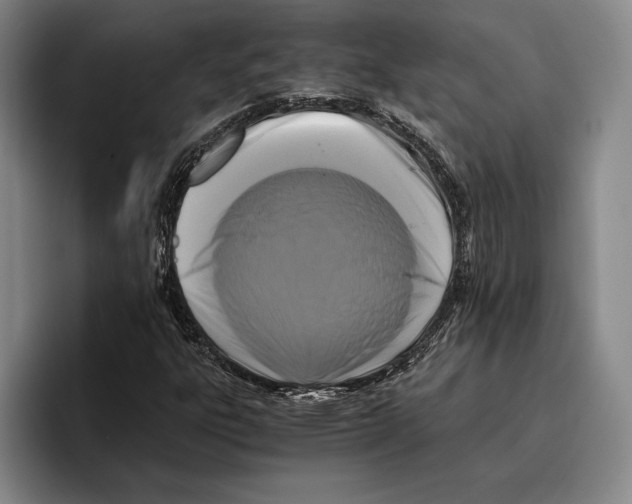 X0000096381303200802211113