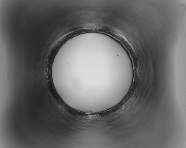 X0000096381304200802211113