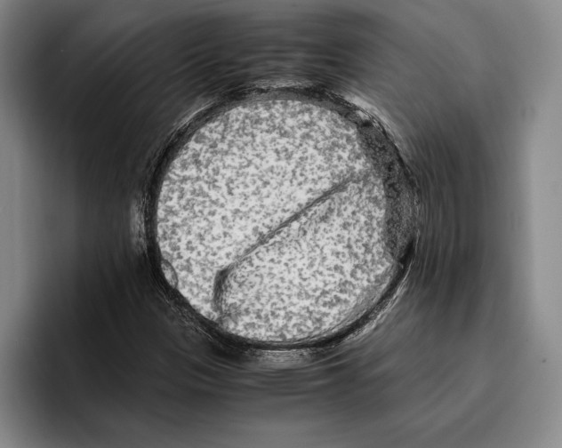 X0000096381305200802211113