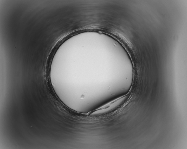 X0000096381308200802211113