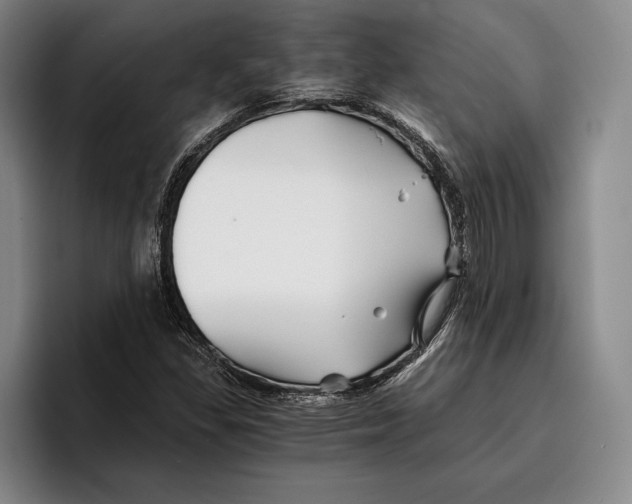 X0000096381309200802211113