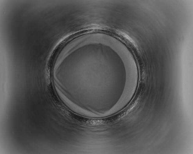 X0000096381310200802211113