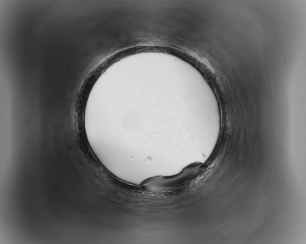 X0000096381311200802211113