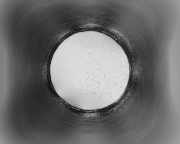 X0000096381313200802211113