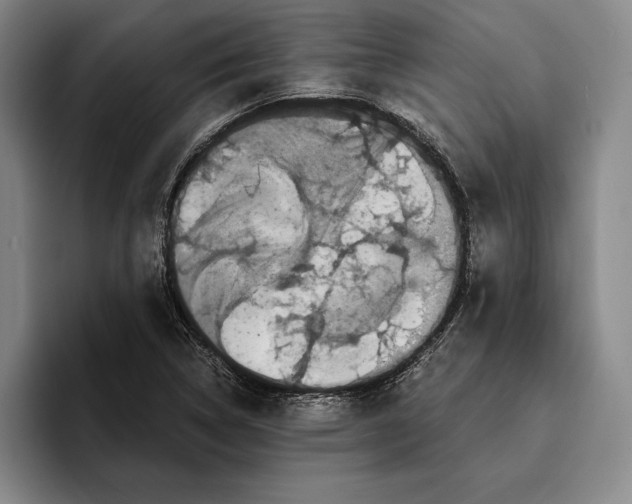 X0000096381314200802211113