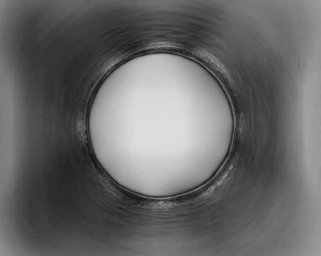 X0000096381321200802211113