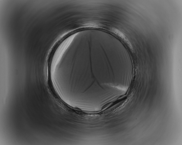 X0000096381323200802211113