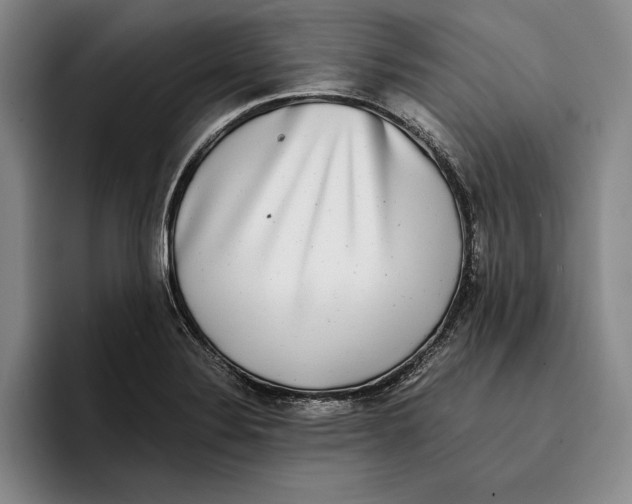 X0000096381324200802211113