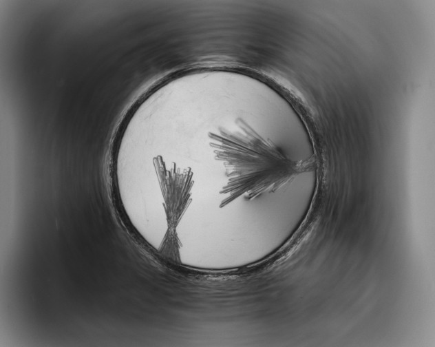 X0000096381325200802211113