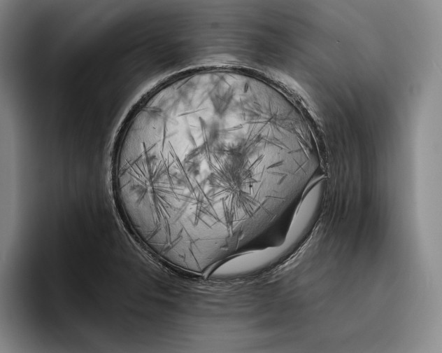 X0000096381326200802211113