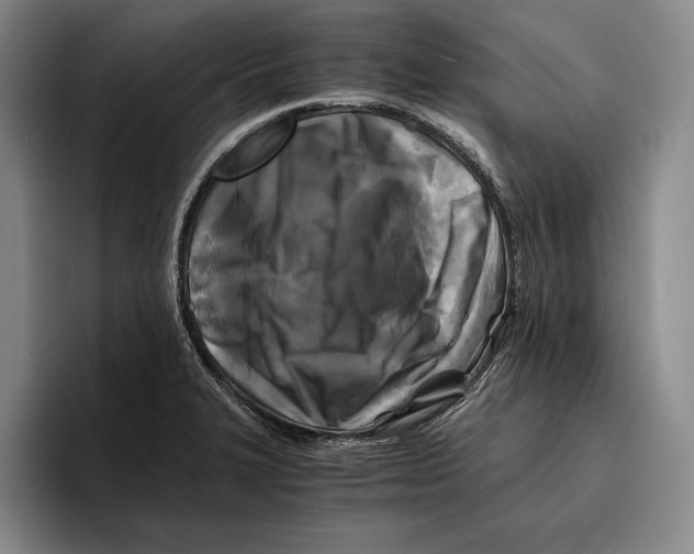 X0000096381327200802211113