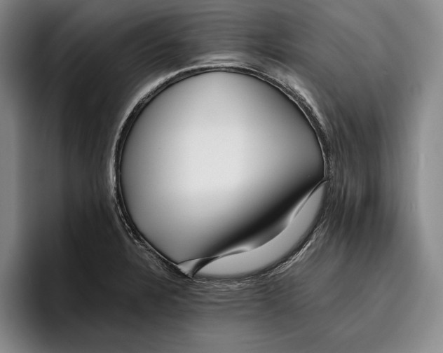 X0000096381328200802211113