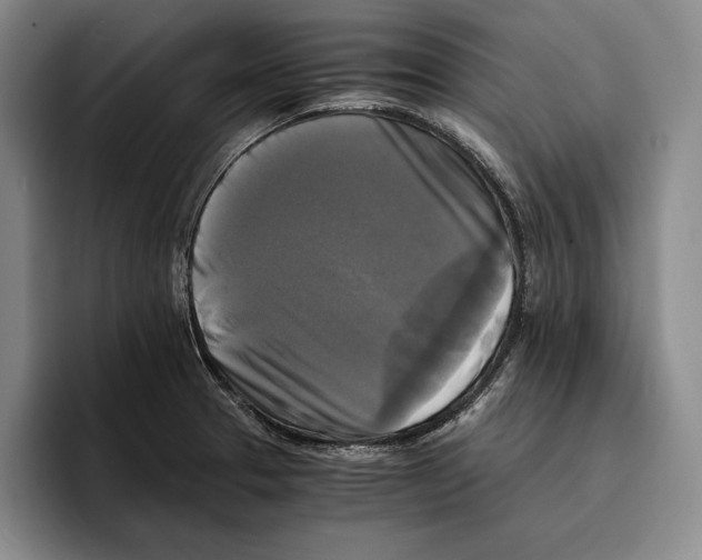 X0000096381329200802211113