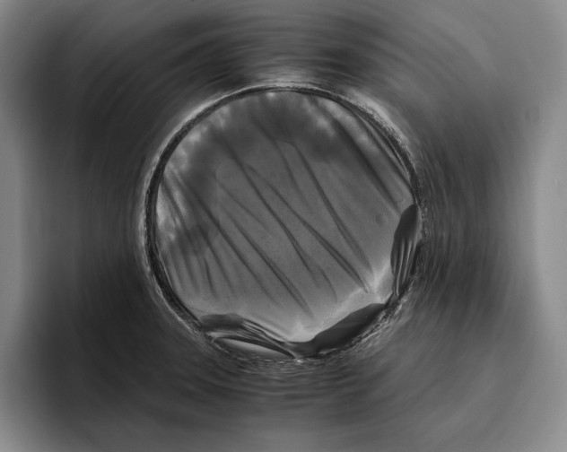 X0000096381331200802211113