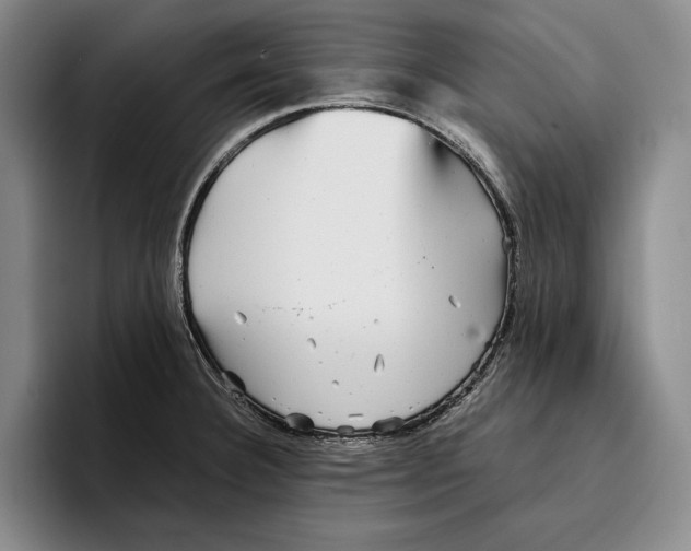 X0000096381332200802211113