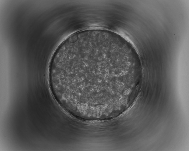 X0000096381333200802211113