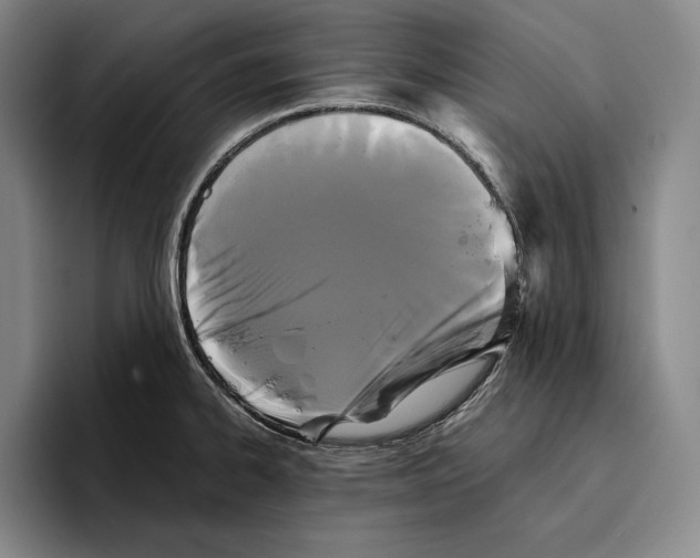 X0000096381334200802211113